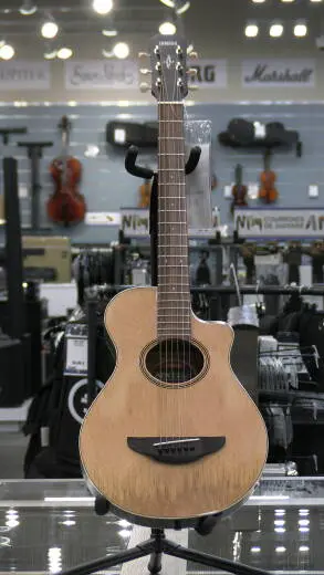 Yamaha - APXT2EW